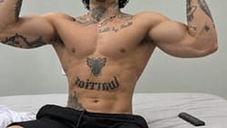 Brito BR's Live Cam